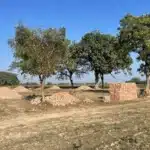 Plots For Sale In Sikathiya Img 4