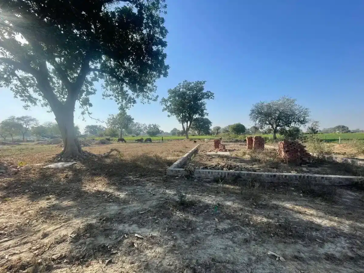 Plot for sale in Sikathiya